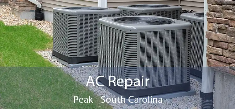 AC Repair Peak - South Carolina