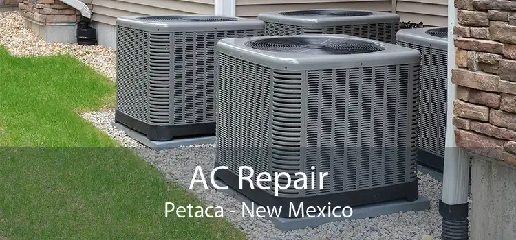 AC Repair Petaca - New Mexico