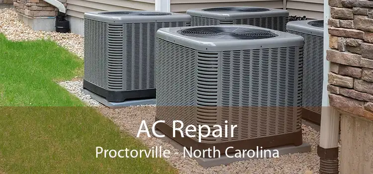 AC Repair Proctorville - North Carolina