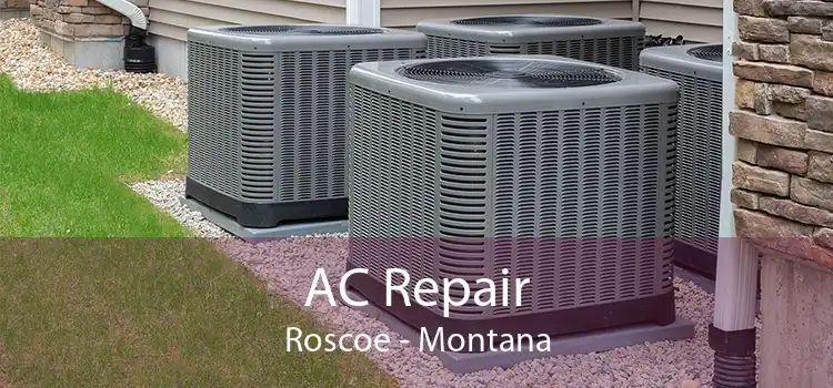 AC Repair Roscoe - Montana