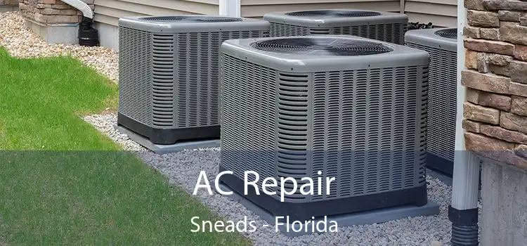 AC Repair Sneads - Florida