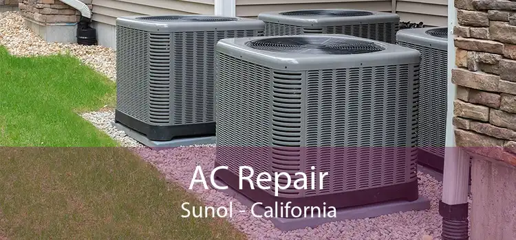 AC Repair Sunol - California