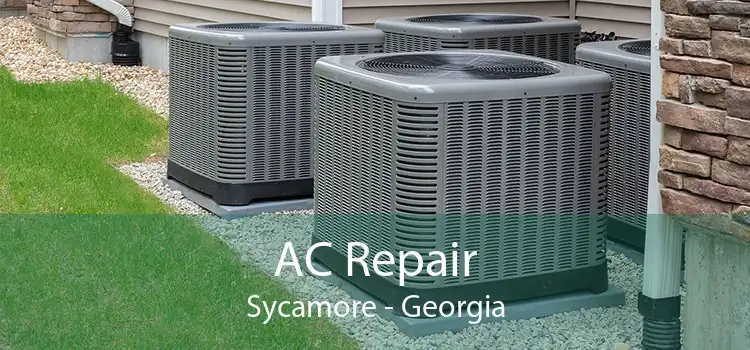AC Repair Sycamore - Georgia