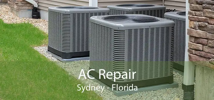 AC Repair Sydney - Florida