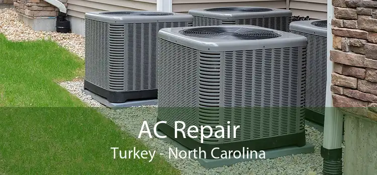 AC Repair Turkey - North Carolina