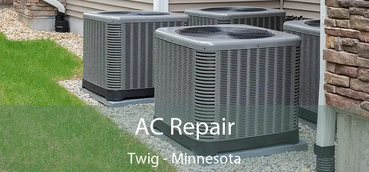 AC Repair Twig - Minnesota