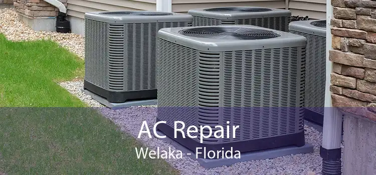 AC Repair Welaka - Florida