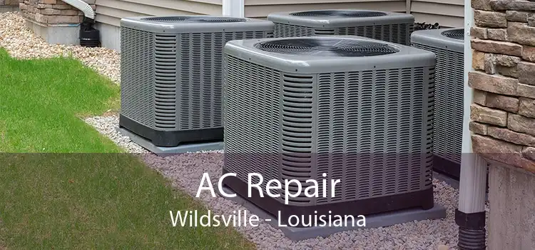 AC Repair Wildsville - Louisiana
