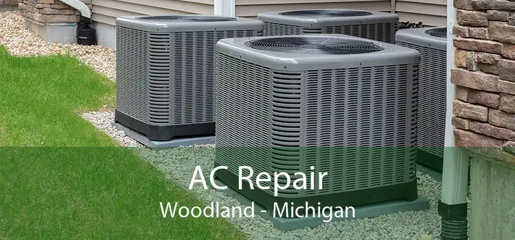 AC Repair Woodland - Michigan