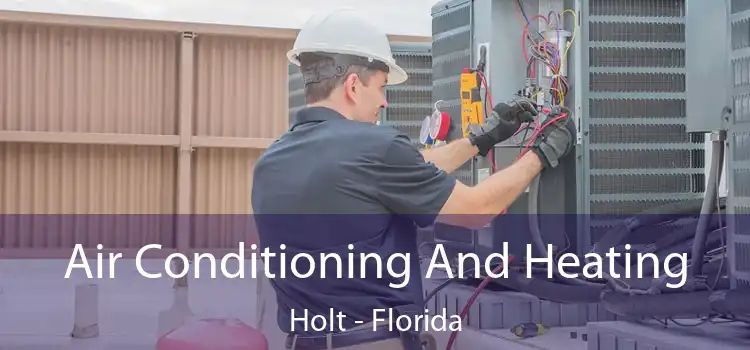 Air Conditioning
                        And Heating Holt - Florida