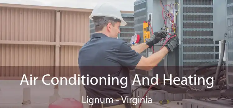 Air Conditioning
                        And Heating Lignum - Virginia