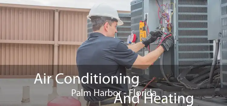 Air Conditioning
                        And Heating Palm Harbor - Florida