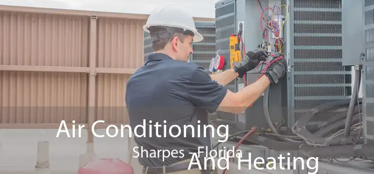 Air Conditioning
                        And Heating Sharpes - Florida