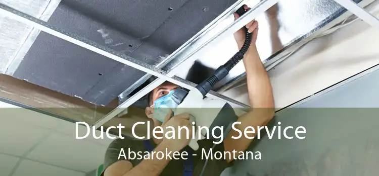 Duct Cleaning Service Absarokee - Montana