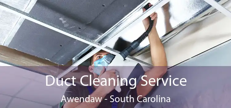 Duct Cleaning Service Awendaw - South Carolina