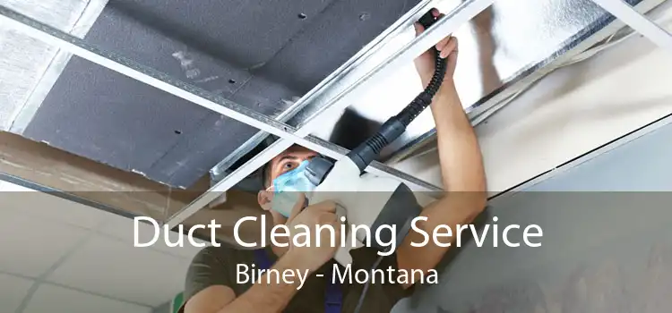 Duct Cleaning Service Birney - Montana