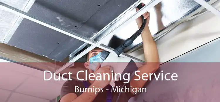 Duct Cleaning Service Burnips - Michigan