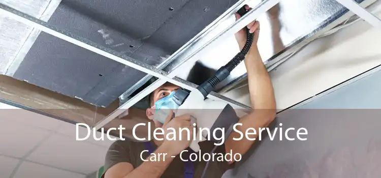 Duct Cleaning Service Carr - Colorado