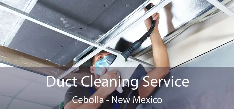 Duct Cleaning Service Cebolla - New Mexico