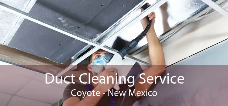 Duct Cleaning Service Coyote - New Mexico