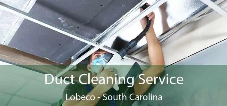 Duct Cleaning Service Lobeco - South Carolina