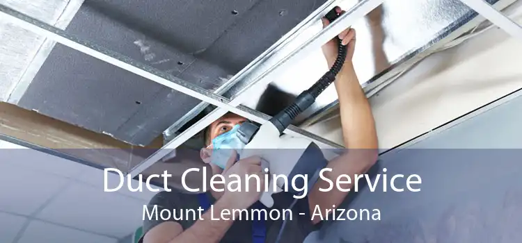 Duct Cleaning Service Mount Lemmon - Arizona