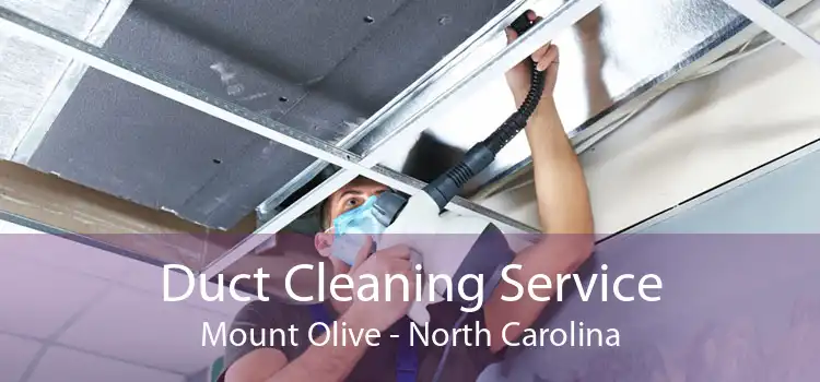 Duct Cleaning Service Mount Olive - North Carolina
