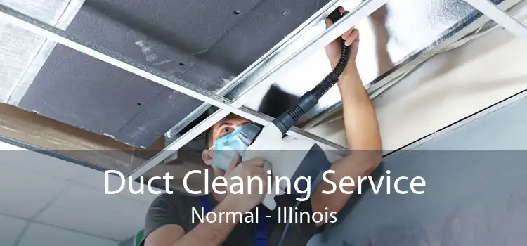 Duct Cleaning Service Normal - Illinois