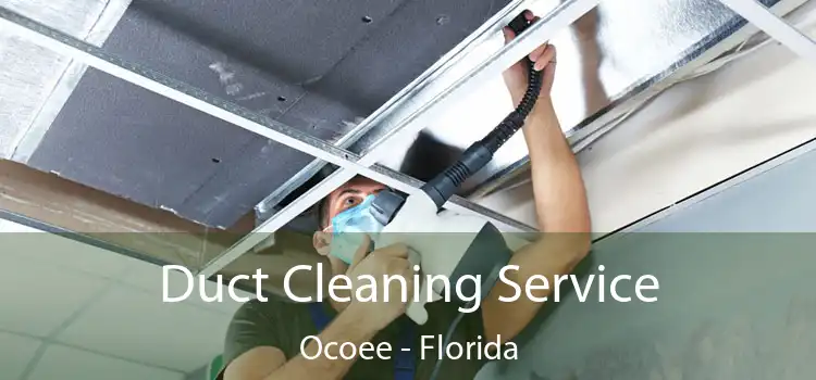 Duct Cleaning Service Ocoee - Florida