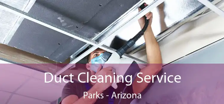 Duct Cleaning Service Parks - Arizona