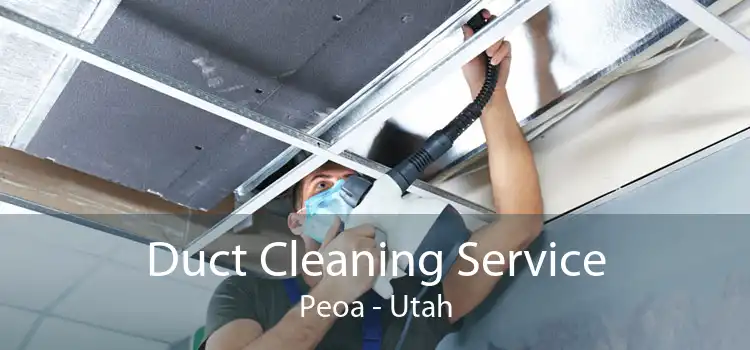 Duct Cleaning Service Peoa - Utah