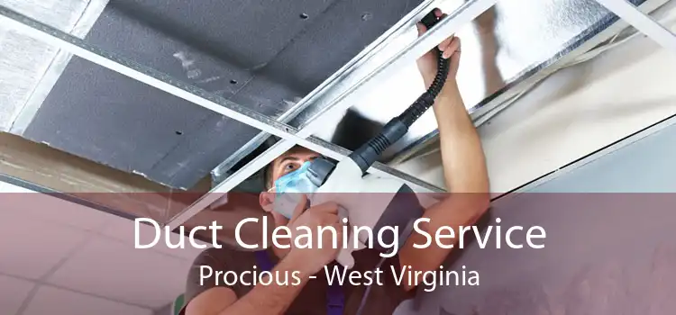 Duct Cleaning Service Procious - West Virginia