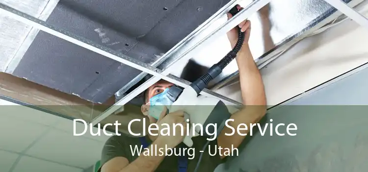 Duct Cleaning Service Wallsburg - Utah