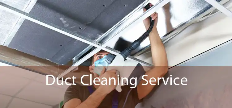 Duct Cleaning Service 