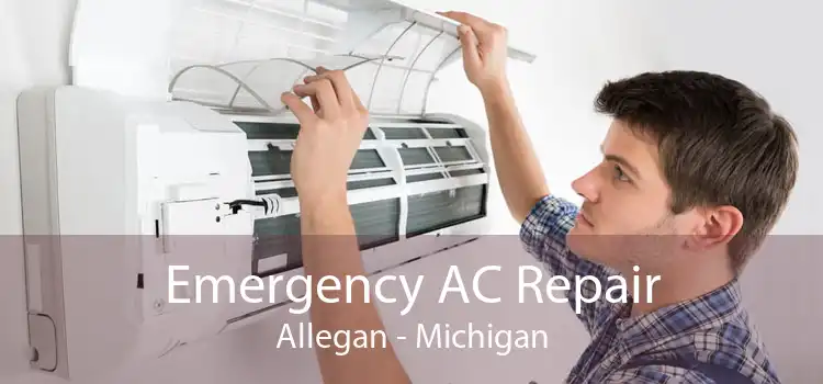 Emergency AC Repair Allegan - Michigan