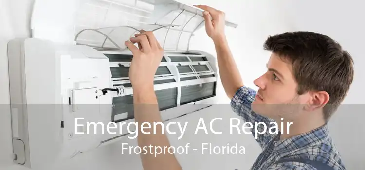 Emergency AC Repair Frostproof - Florida