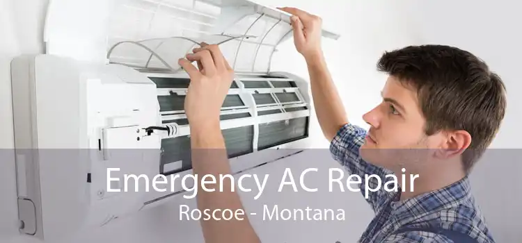 Emergency AC Repair Roscoe - Montana