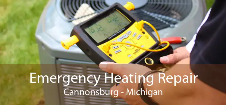 Emergency Heating Repair Cannonsburg - Michigan