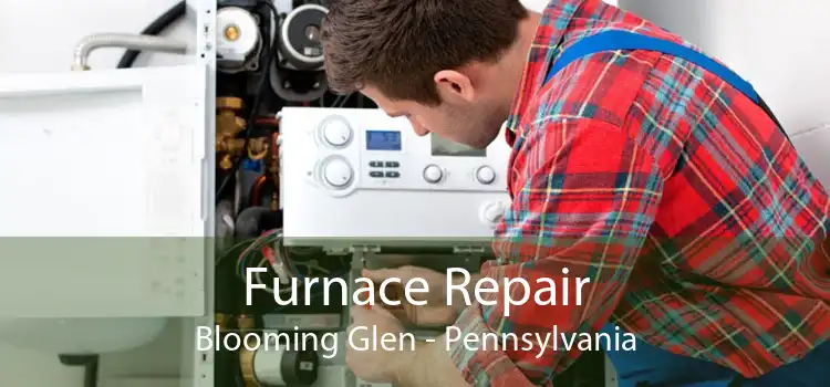 Furnace Repair Blooming Glen - Pennsylvania