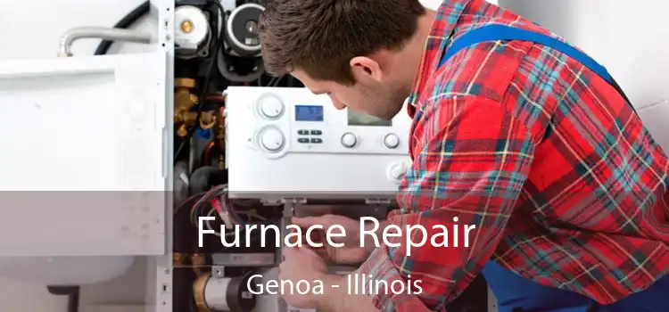 Furnace Repair Genoa - Illinois