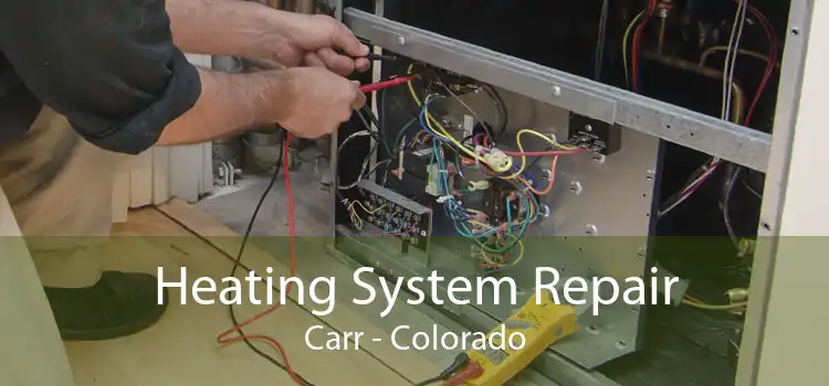 Heating System Repair Carr - Colorado