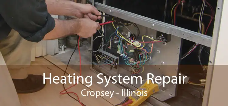 Heating System Repair Cropsey - Illinois