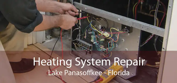 Heating System Repair Lake Panasoffkee - Florida