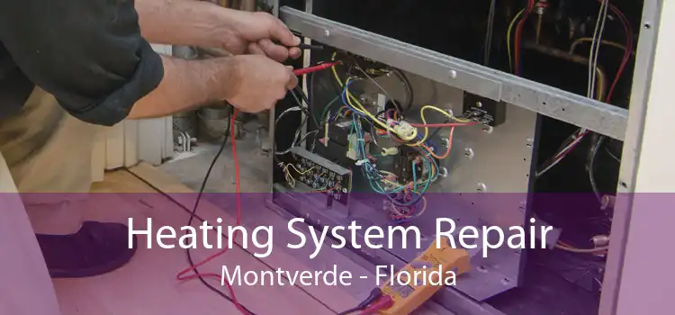 Heating System Repair Montverde - Florida