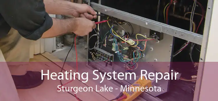 Heating System Repair Sturgeon Lake - Minnesota