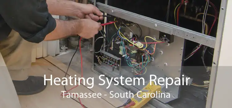 Heating System Repair Tamassee - South Carolina