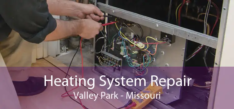 Heating System Repair Valley Park - Missouri