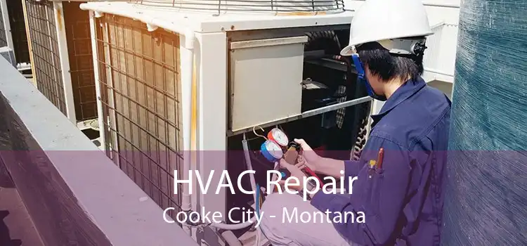 HVAC Repair Cooke City - Montana