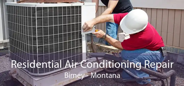 Residential Air Conditioning Repair Birney - Montana