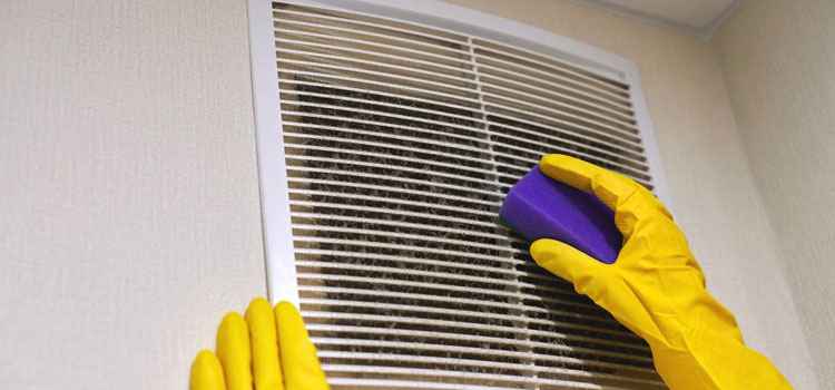 Commercial Duct Cleaning Services in Hitchcock, TX